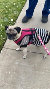 164438245_10164852513925253_7391126588338822036_n