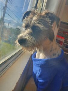 169979693_846151155981565_9206657303218878008_n