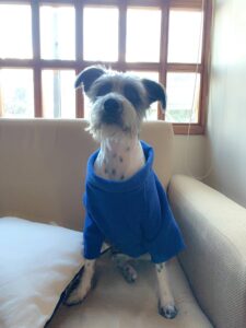 171011730_504485637220715_9029012043663314301_n