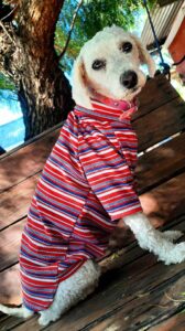 173211623_2874213096178752_5049467383017166699_n