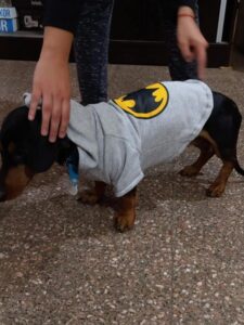 173661844_2029695930505335_7426466121563867123_n