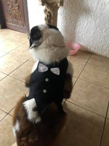 175772103_10209115367437399_6367450941459677091_n