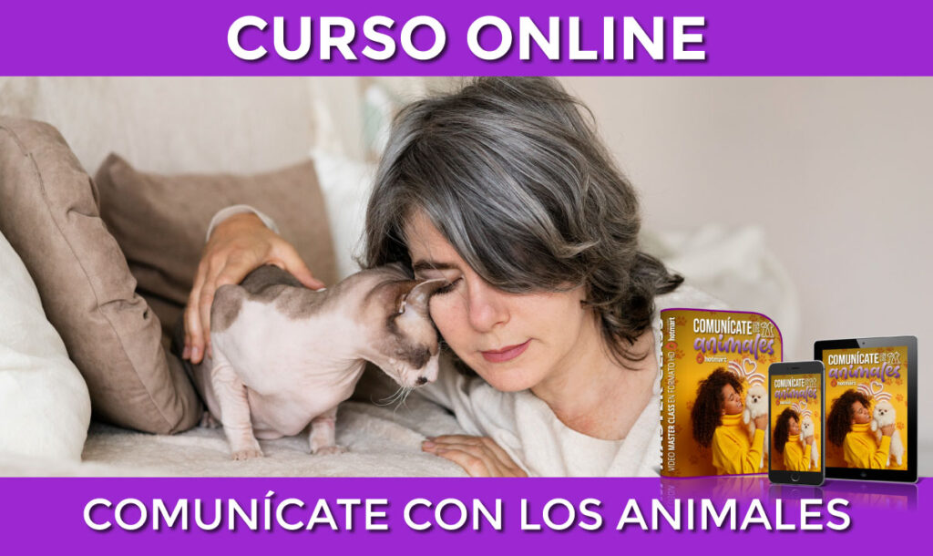 Personas aprendiendo a comunicarse telepáticamente con animales