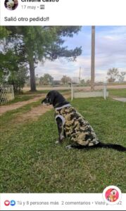 WhatsApp Image 2021-05-26 at 4.37.54 PM