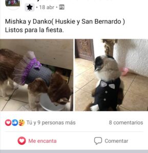 WhatsApp Image 2021-05-26 at 4.40.08 PM