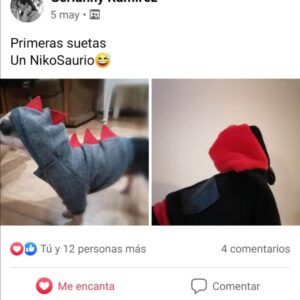 WhatsApp Image 2021-05-26 at 4.43.03 PM