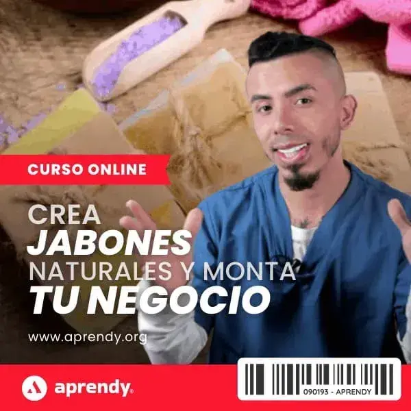 5.0 - 17 emprendimiento