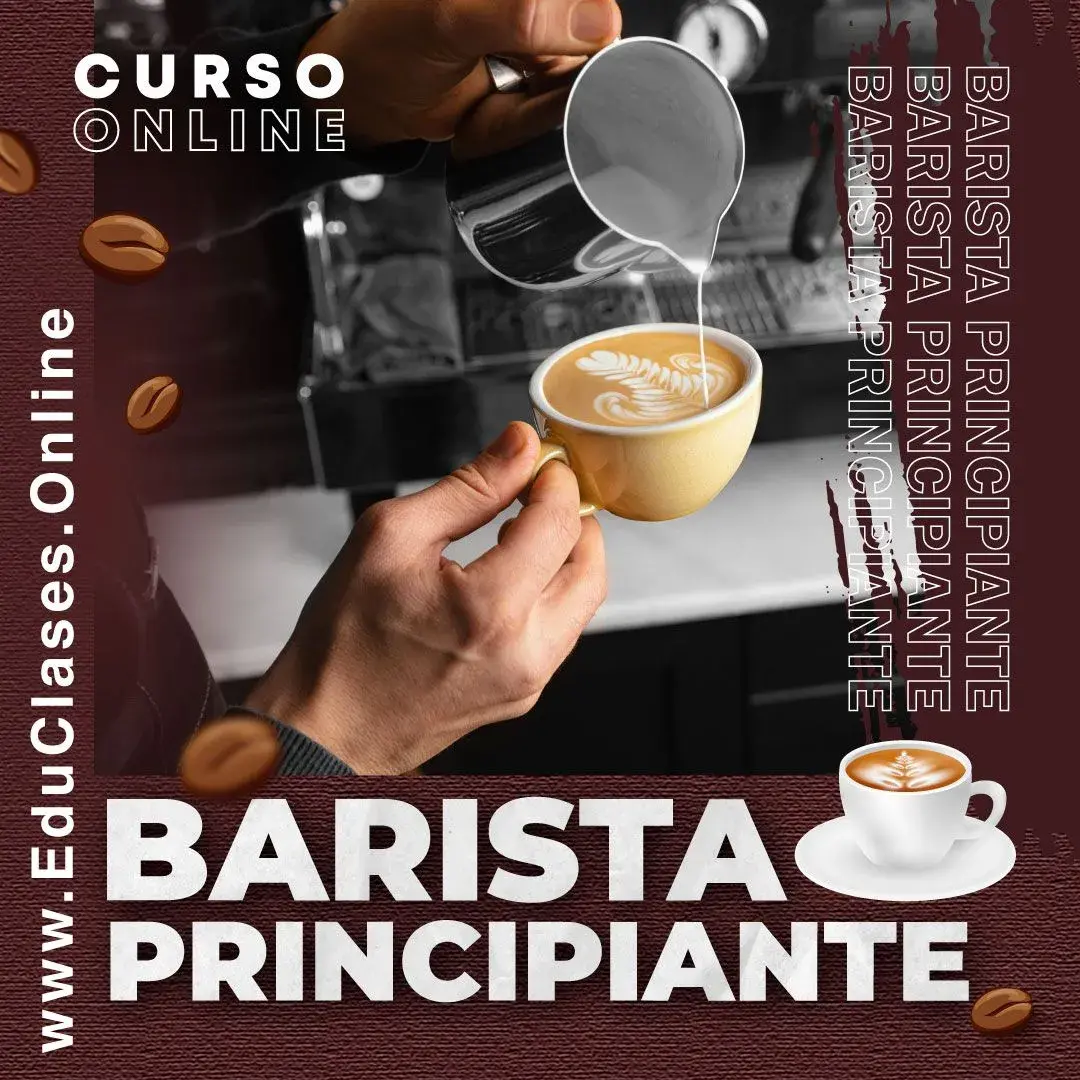 Barista Principiante