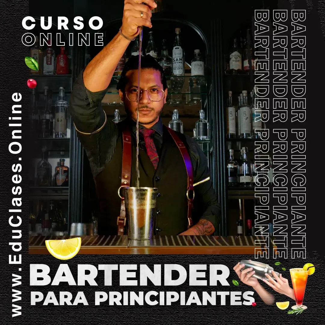 Bartender Para Principiantes