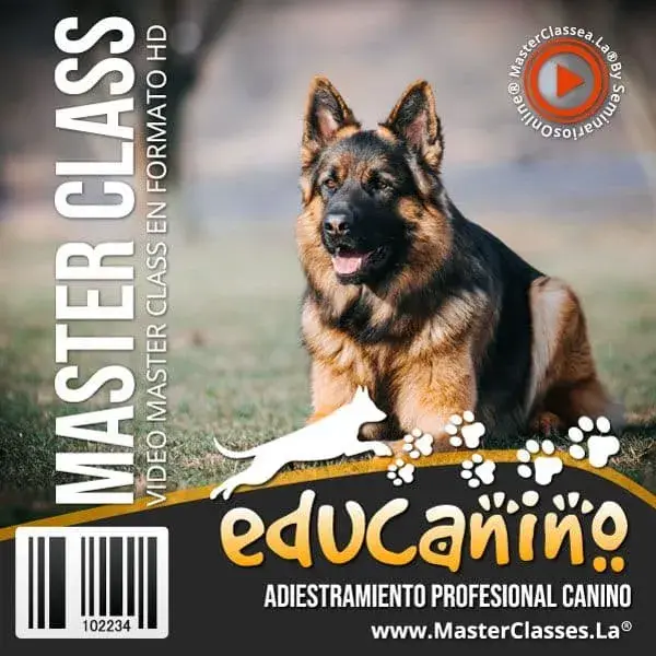 Educanino. Todo sobre Adiestramiento Canino